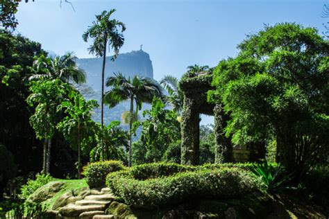 Jardim Botânico do Rio de Janeiro: Bir Biyolojik Çeşitlilik Merkezinde Yeşil Bir Cennet!