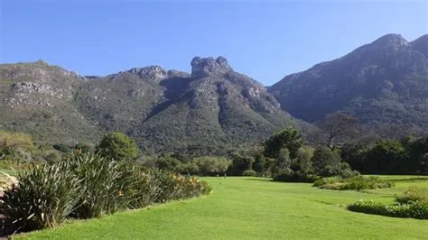  Kirstenbosch Milli Parkı Güney Afrika'nın Bitkisel Cenneti mi?